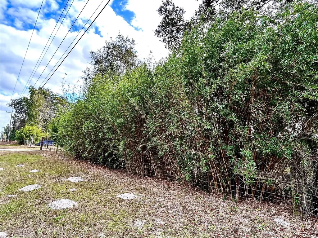0 NW 60th Street Chiefland FL 32626