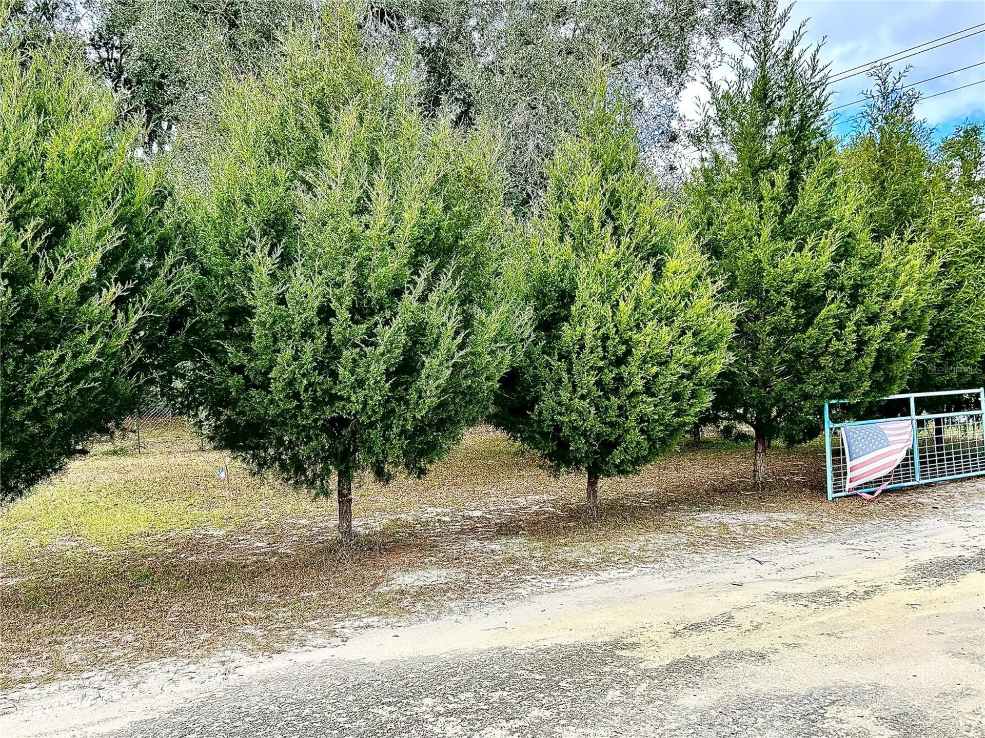 0 NW 60th Street Chiefland FL 32626