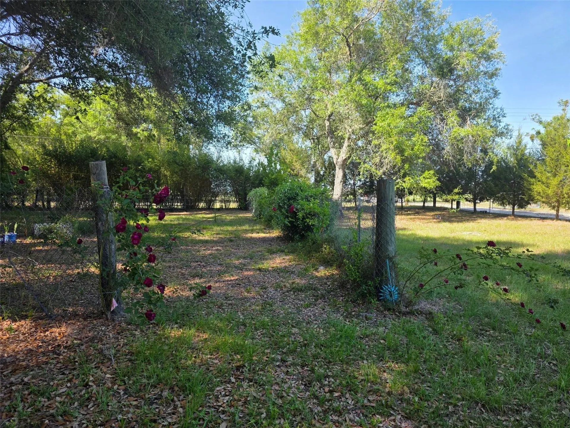 0 NW 60th Street Chiefland FL 32626