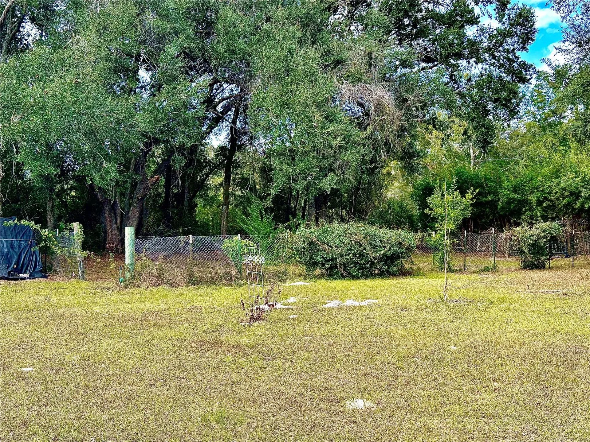 0 NW 60th Street Chiefland FL 32626