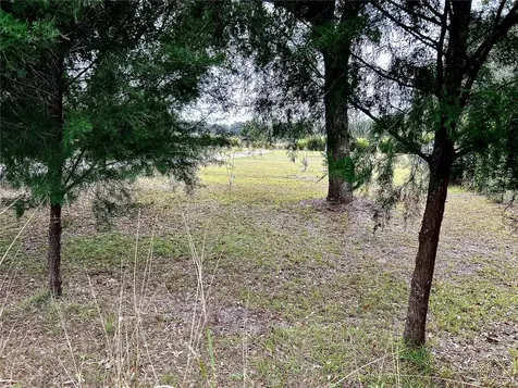 0 NW 60th Street Chiefland FL 32626