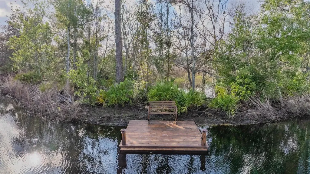 22980 Scaglione Drive Lutz FL 33549