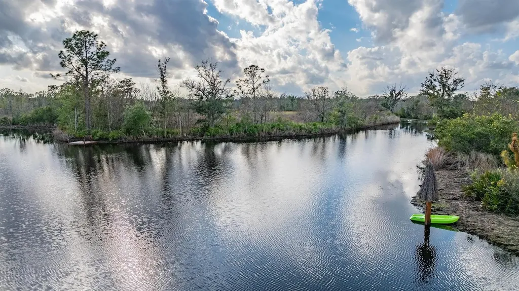 22980 Scaglione Drive Lutz FL 33549