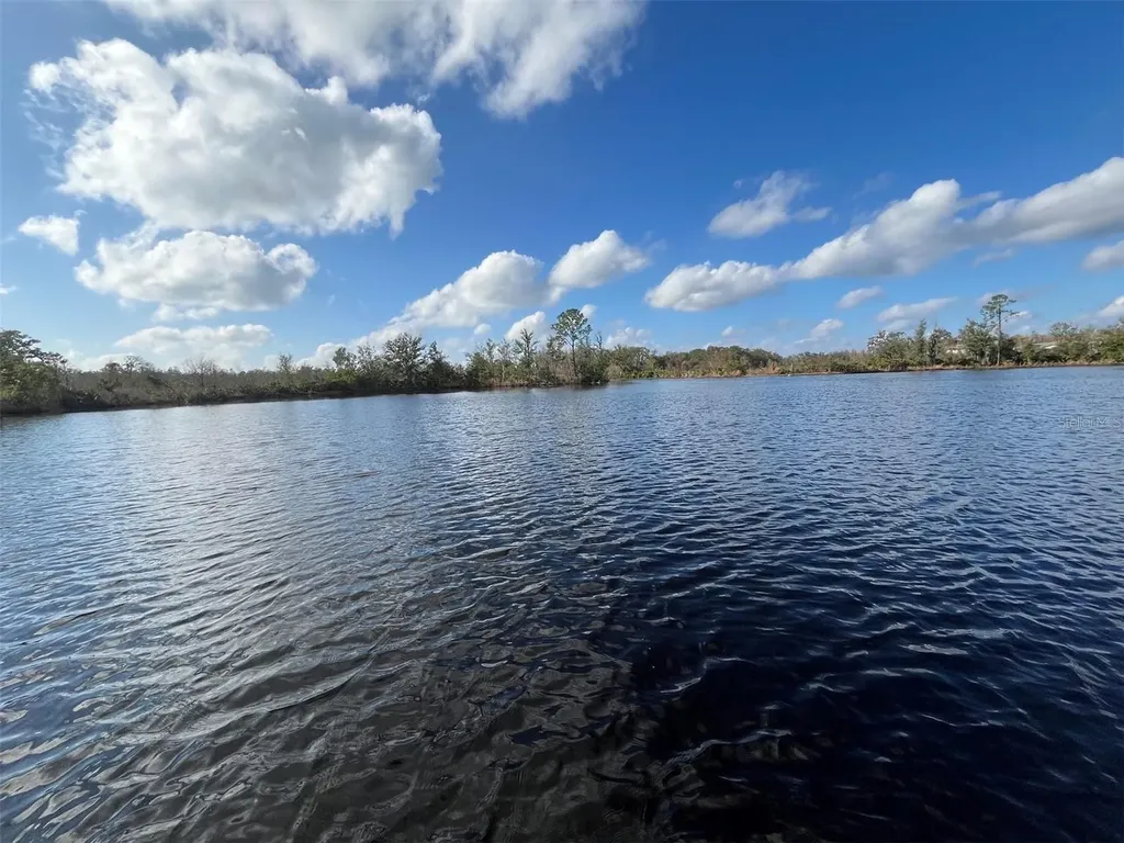 22980 Scaglione Drive Lutz FL 33549