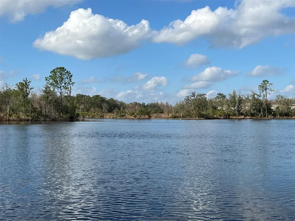 22980 Scaglione Drive Lutz FL 33549