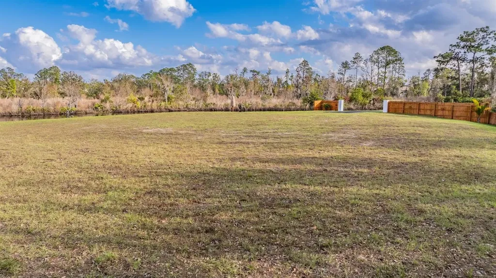 22980 Scaglione Drive Lutz FL 33549