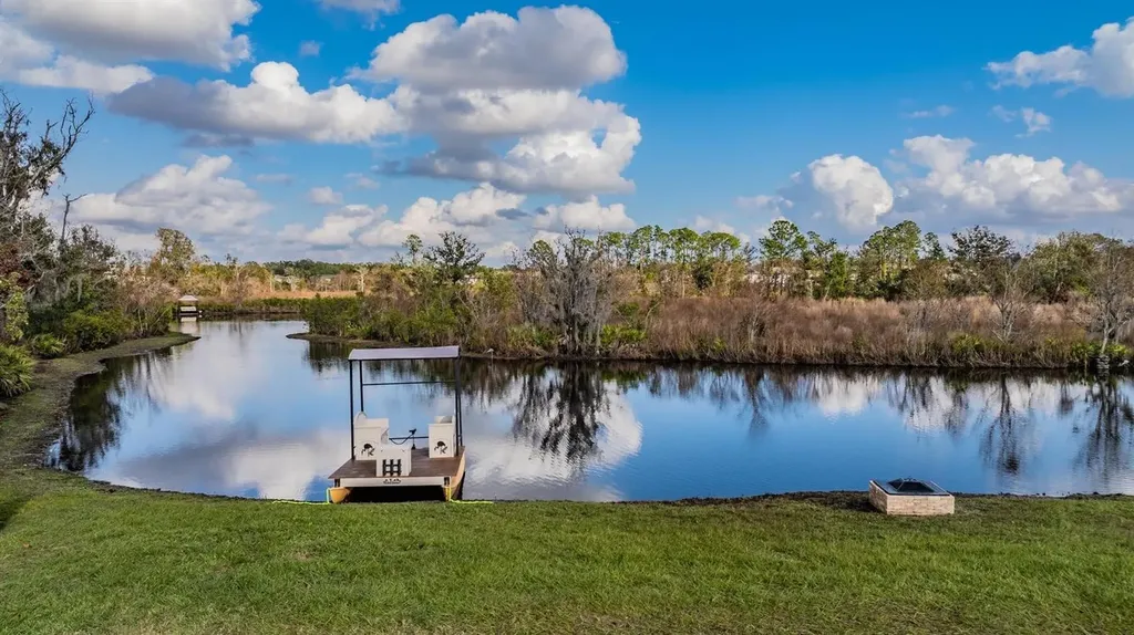 22980 Scaglione Drive Lutz FL 33549