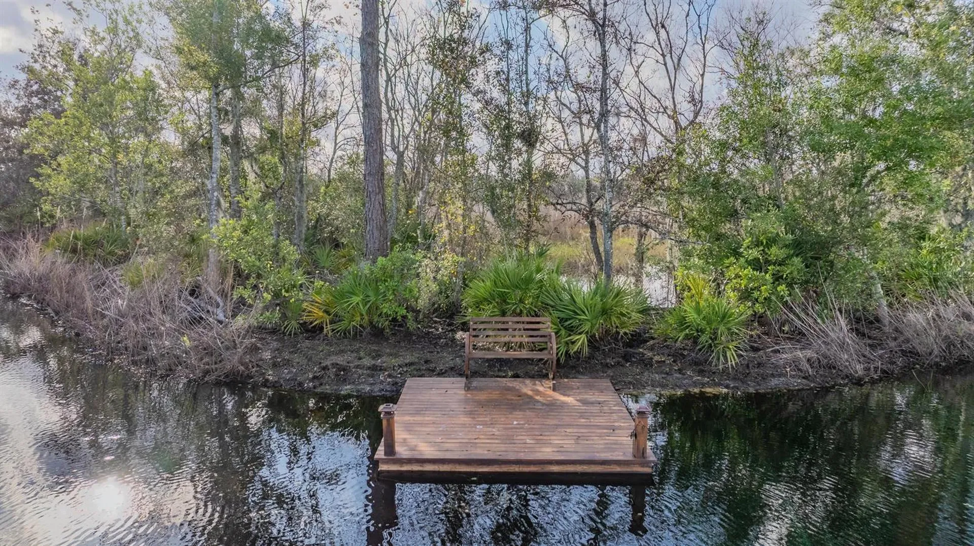 22980 Scaglione Drive Lutz FL 33549
