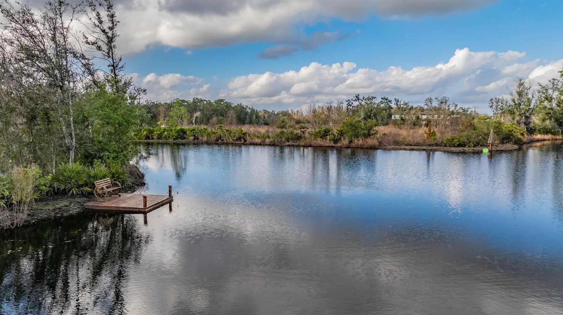 22980 Scaglione Drive Lutz FL 33549