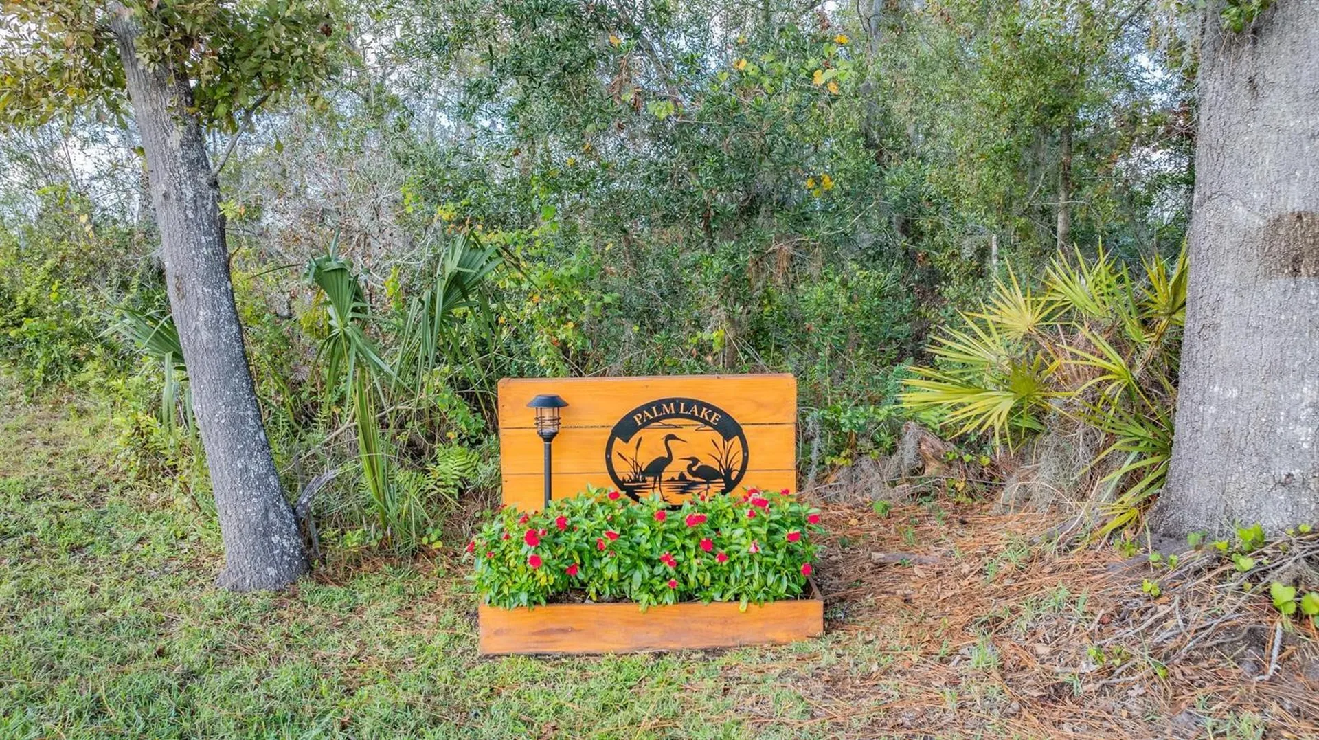 22980 Scaglione Drive Lutz FL 33549