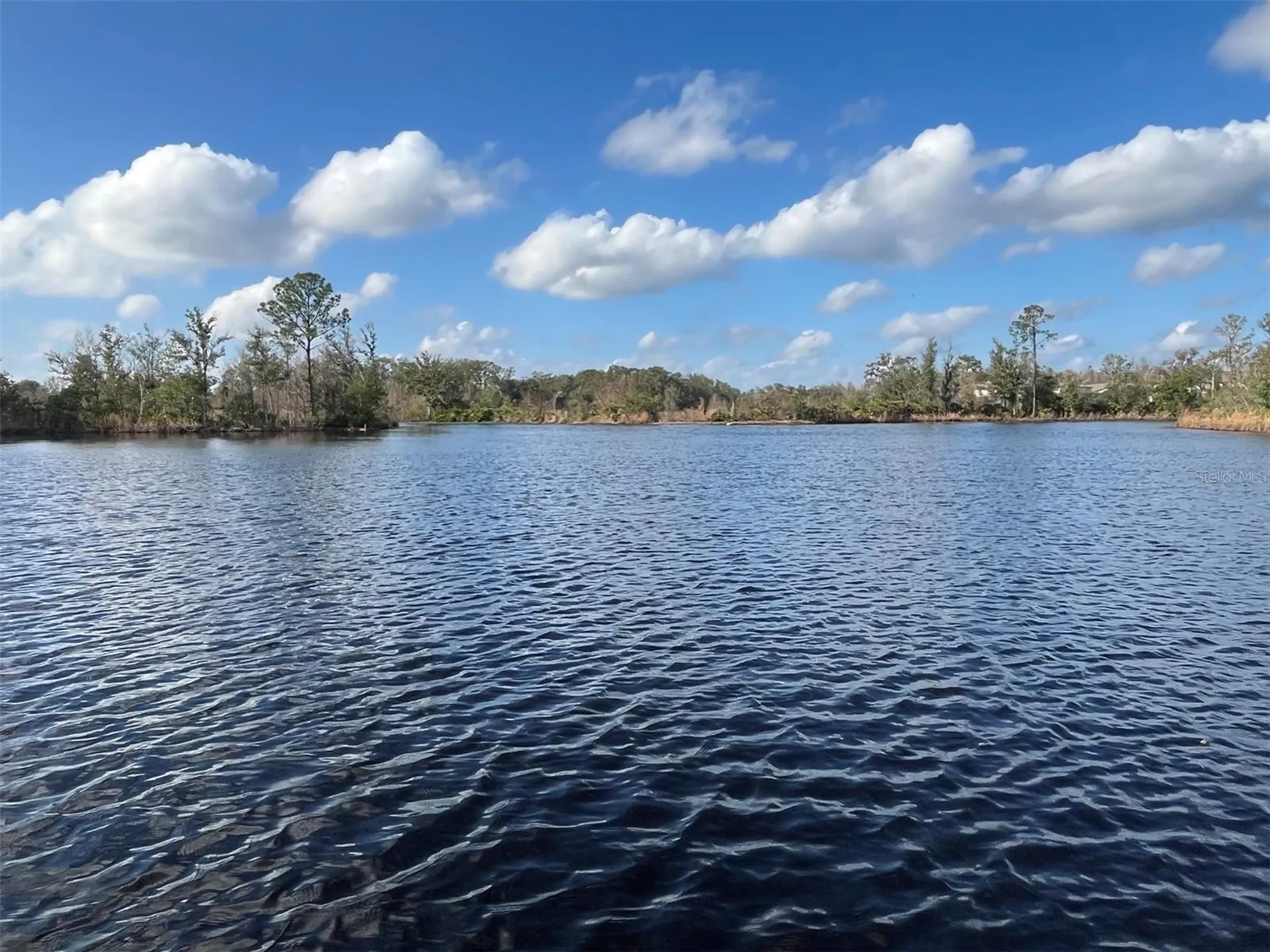 22980 Scaglione Drive Lutz FL 33549