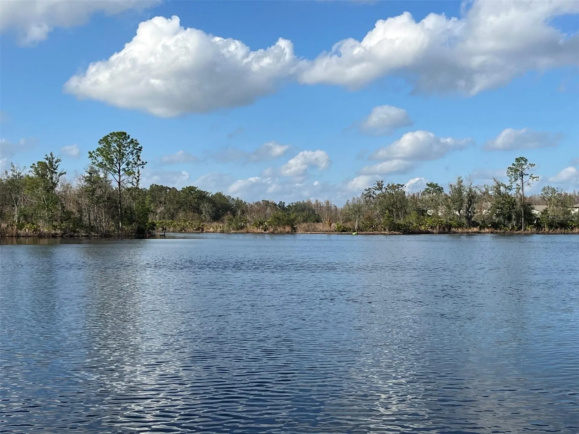 22980 Scaglione Drive Lutz FL 33549