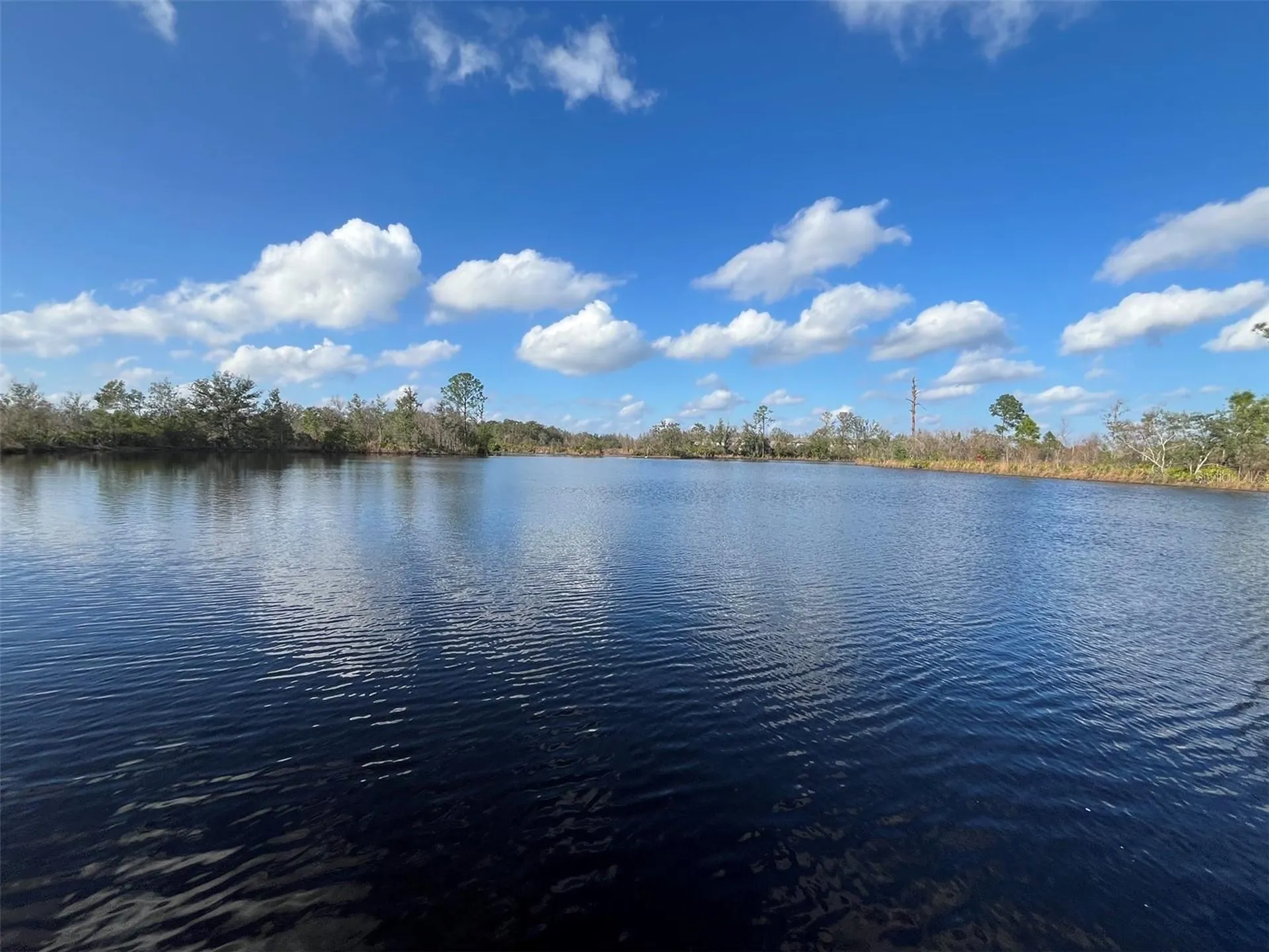 22980 Scaglione Drive Lutz FL 33549