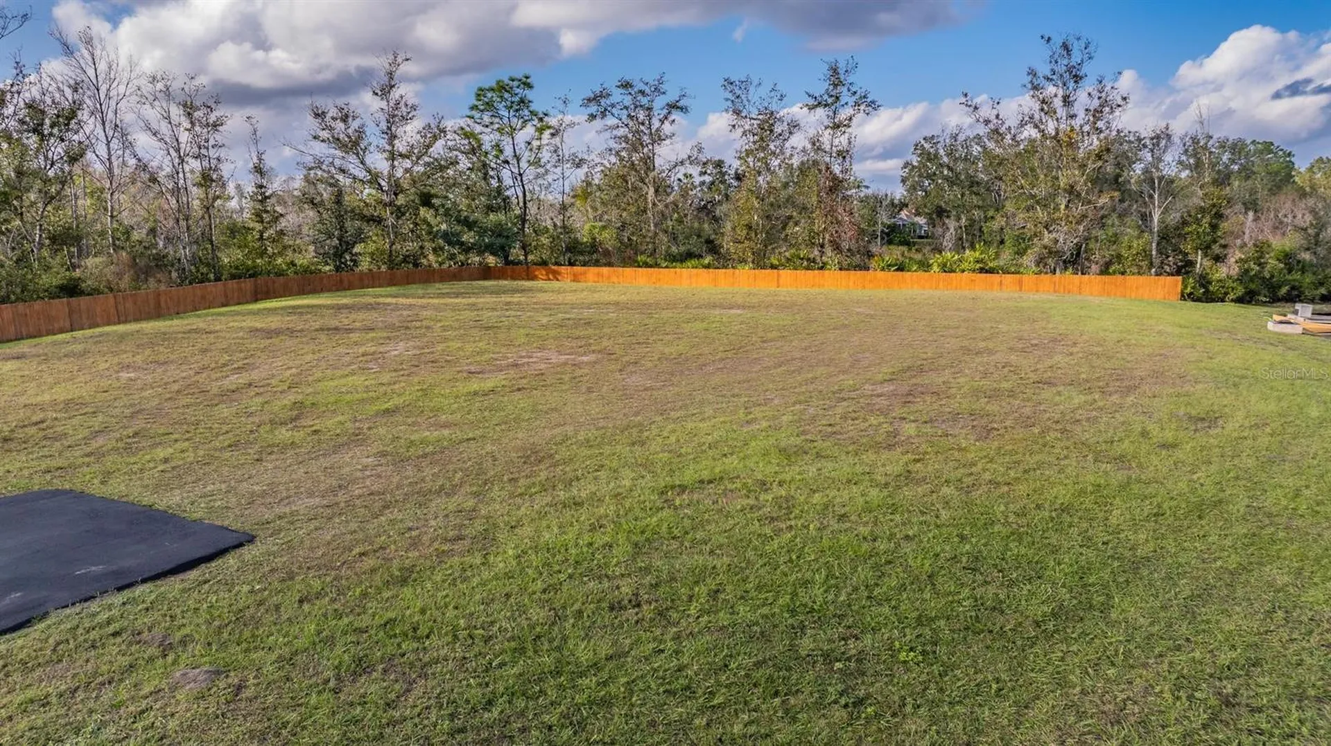 22980 Scaglione Drive Lutz FL 33549