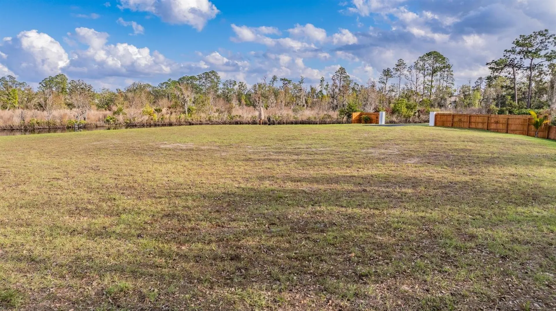 22980 Scaglione Drive Lutz FL 33549
