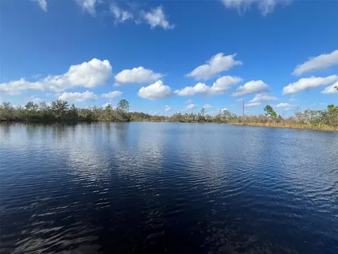 22980 Scaglione Drive Lutz FL 33549