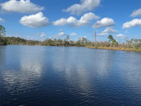 22980 Scaglione Drive Lutz FL 33549