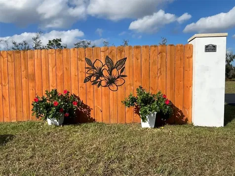 22980 Scaglione Drive Lutz FL 33549