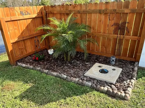 22980 Scaglione Drive Lutz FL 33549