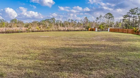 22980 Scaglione Drive Lutz FL 33549