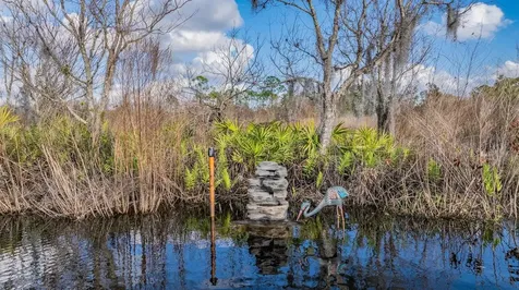 22980 Scaglione Drive Lutz FL 33549