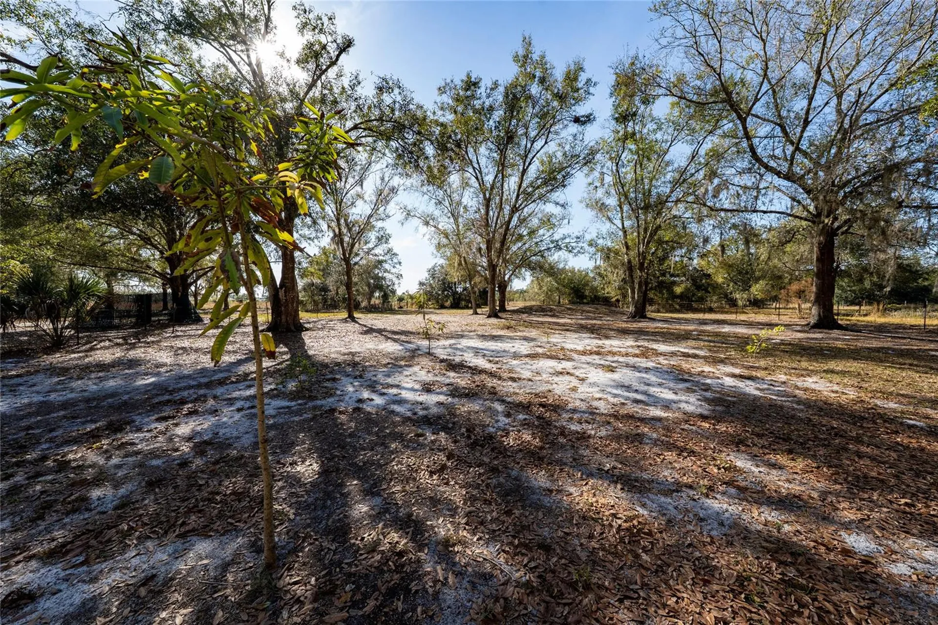 915 Keen Road Frostproof FL 33843