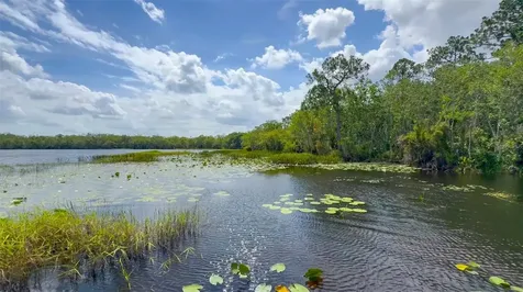 6829 Sundrop Street Harmony FL 34773