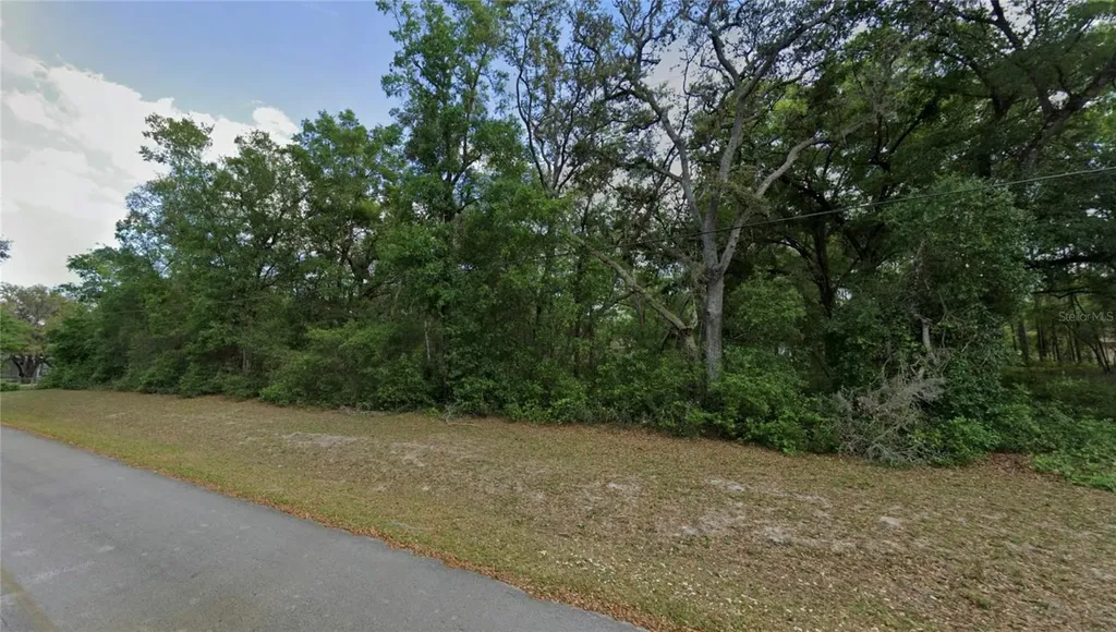 Tbd SE 59th Street Ocklawaha FL 32179