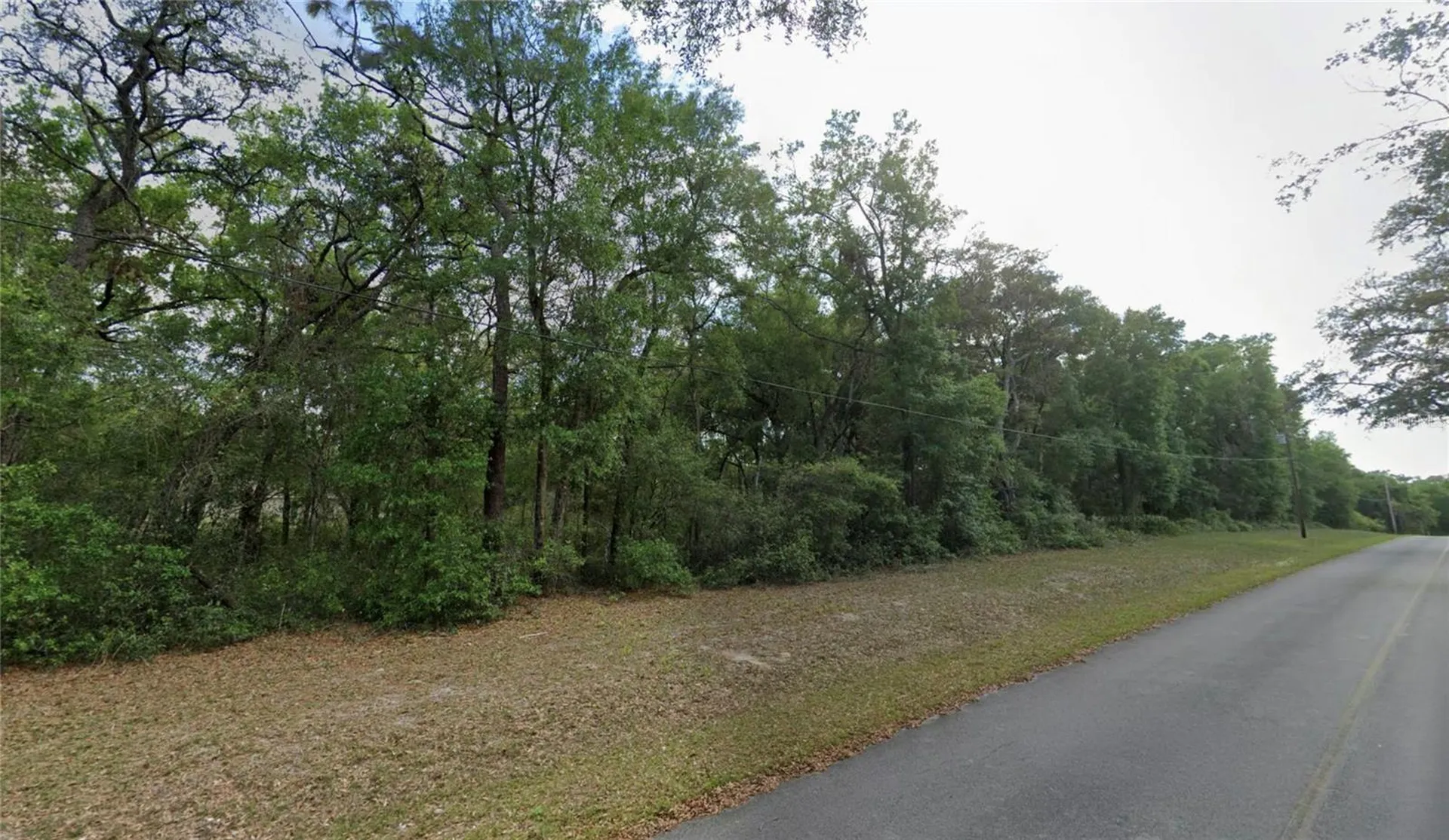 Tbd SE 59th Street Ocklawaha FL 32179