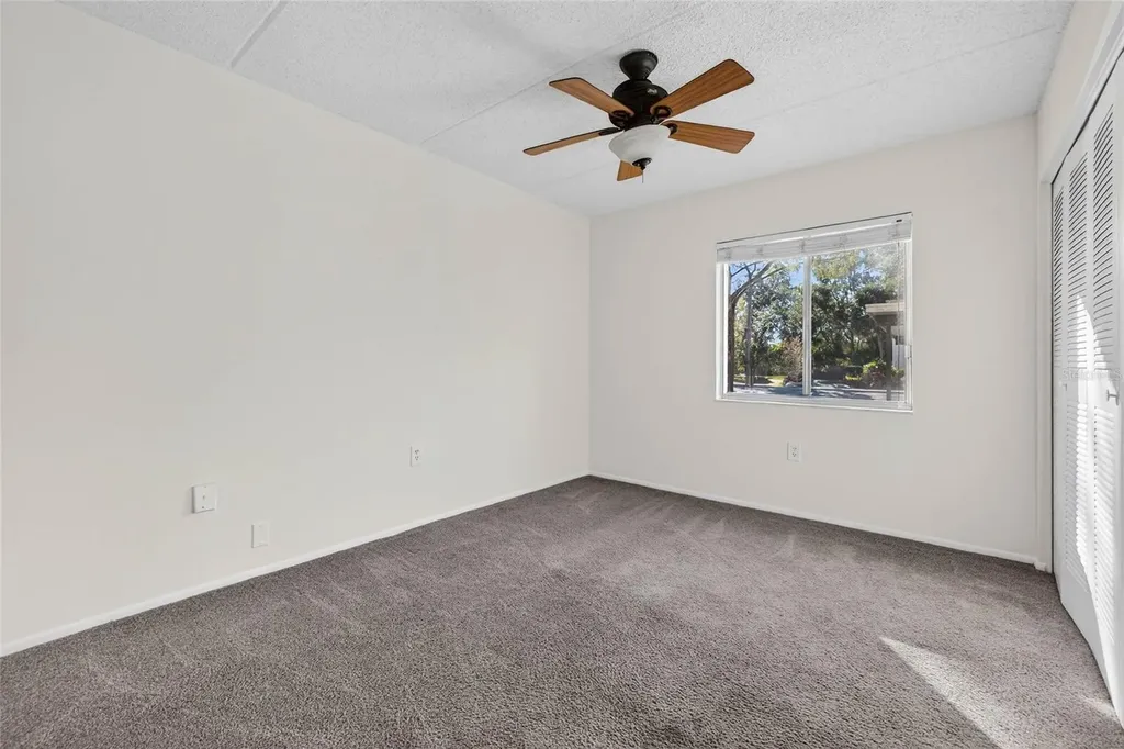 219 Palmetto Court Oldsmar FL 34677