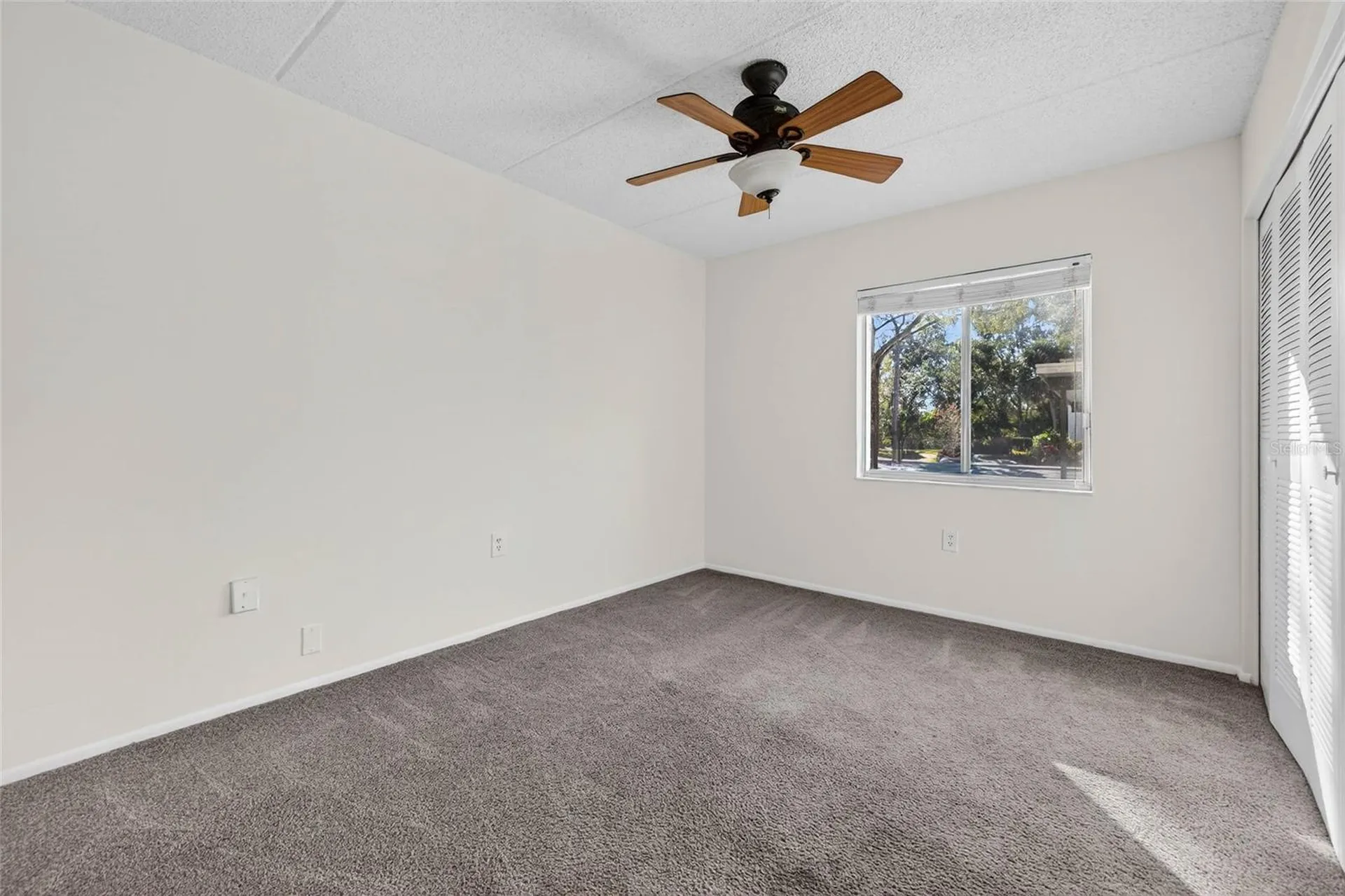 219 Palmetto Court Oldsmar FL 34677