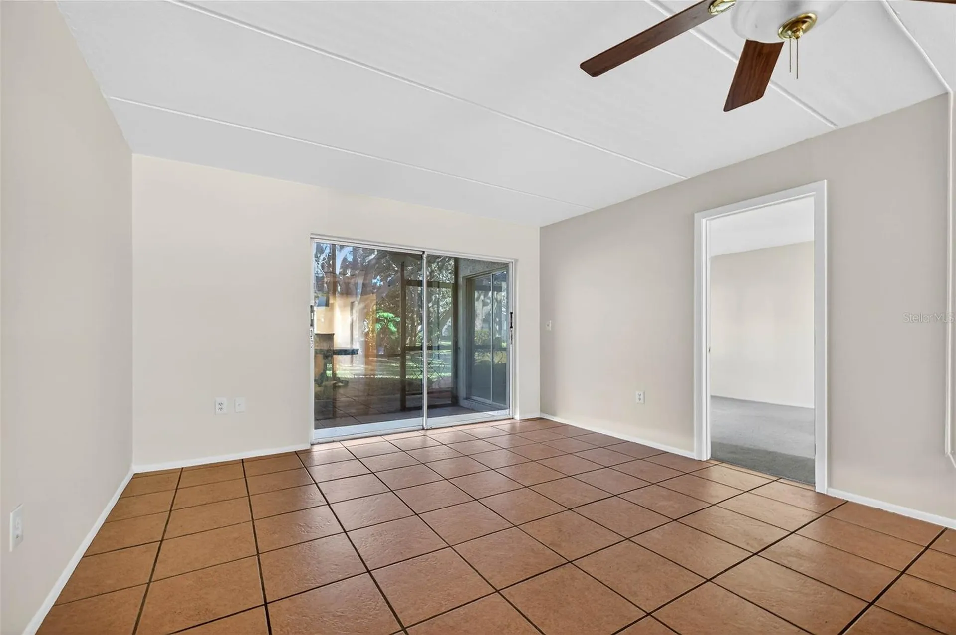 219 Palmetto Court Oldsmar FL 34677