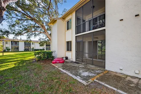 219 Palmetto Court Oldsmar FL 34677