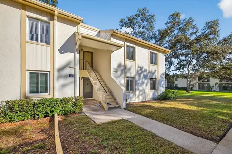 219 Palmetto Court Oldsmar FL 34677