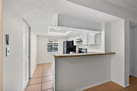 219 Palmetto Court Oldsmar FL 34677