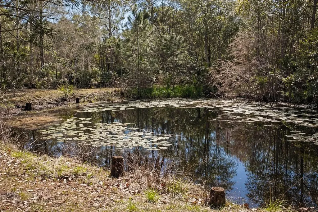 445 S State Road 415 Osteen FL 32764