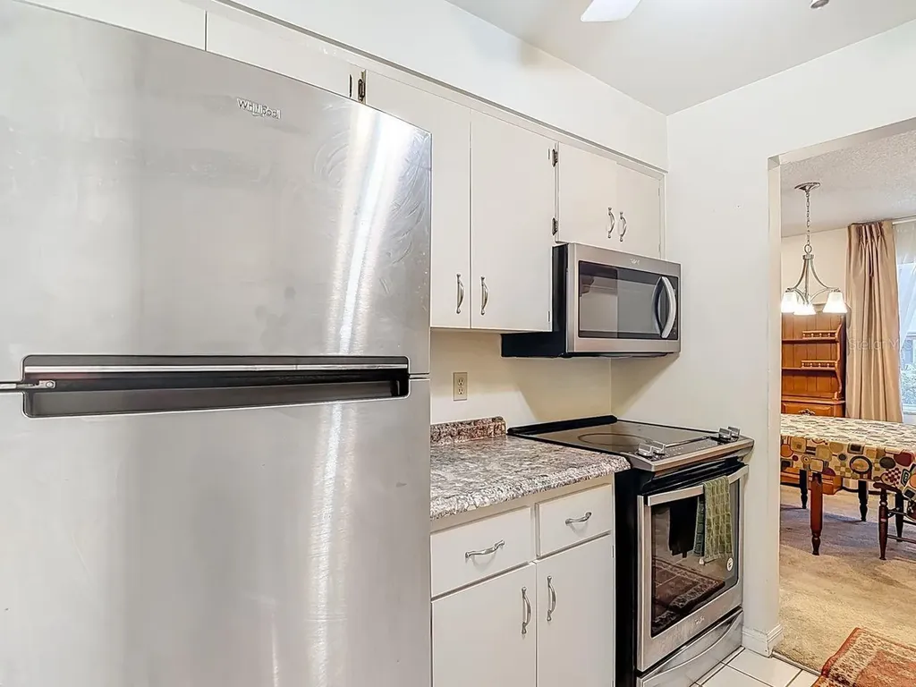 4325 Aegean Drive Tampa FL 33611