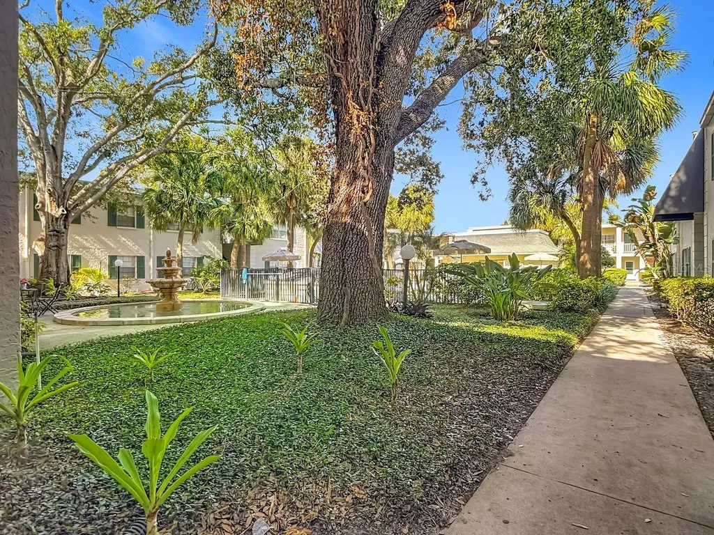 4325 Aegean Drive Tampa FL 33611