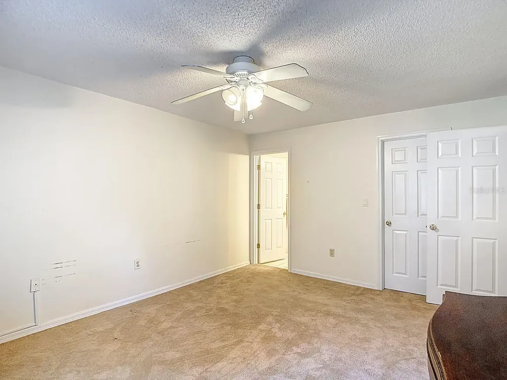 4325 Aegean Drive Tampa FL 33611