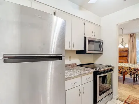 4325 Aegean Drive Tampa FL 33611