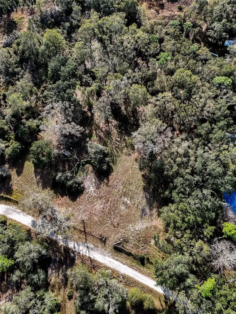 40550 Sutorus Road Zephyrhills FL 33540