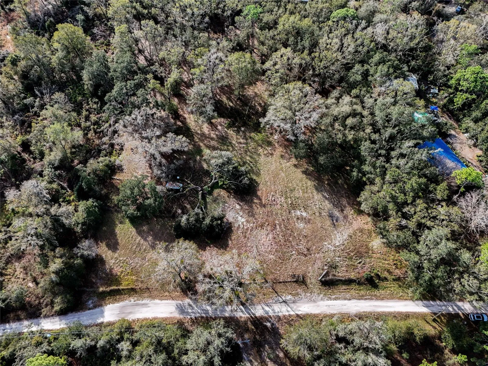 40550 Sutorus Road Zephyrhills FL 33540