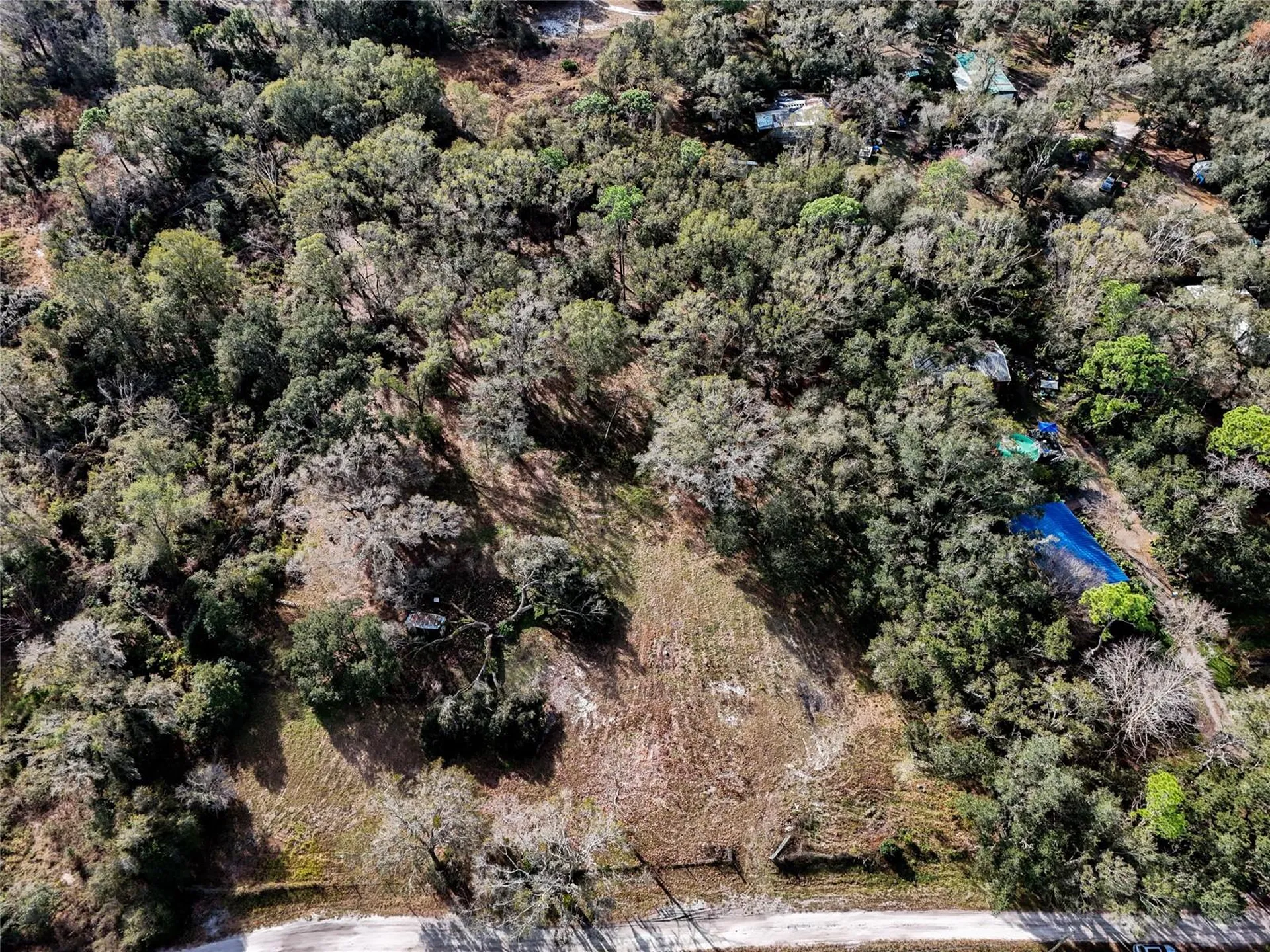 40550 Sutorus Road Zephyrhills FL 33540