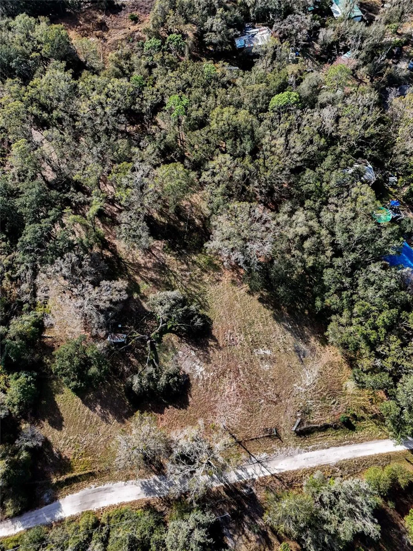 40550 Sutorus Road Zephyrhills FL 33540