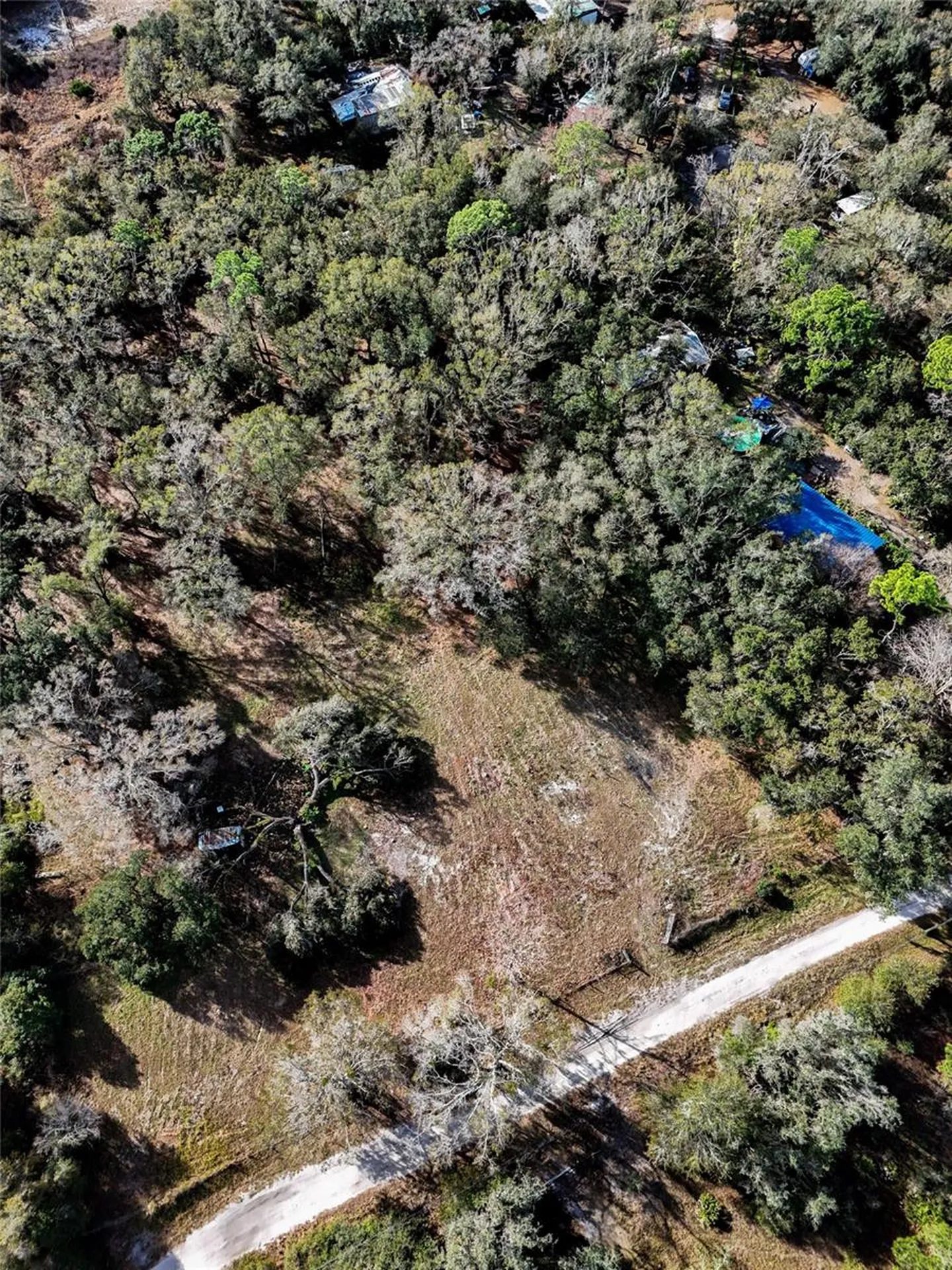 40550 Sutorus Road Zephyrhills FL 33540