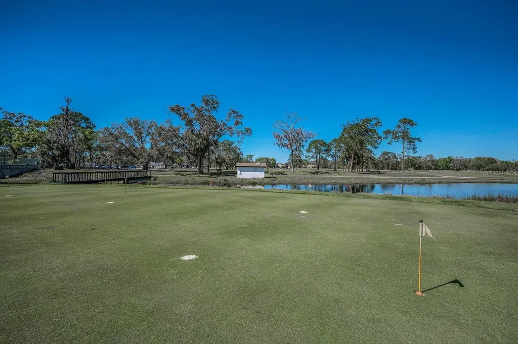 12154 Putter Green Court New Port Richey FL 34654