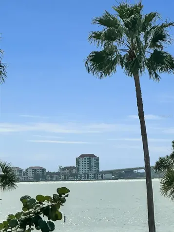 3120 Clinton Street S Gulfport FL 33707