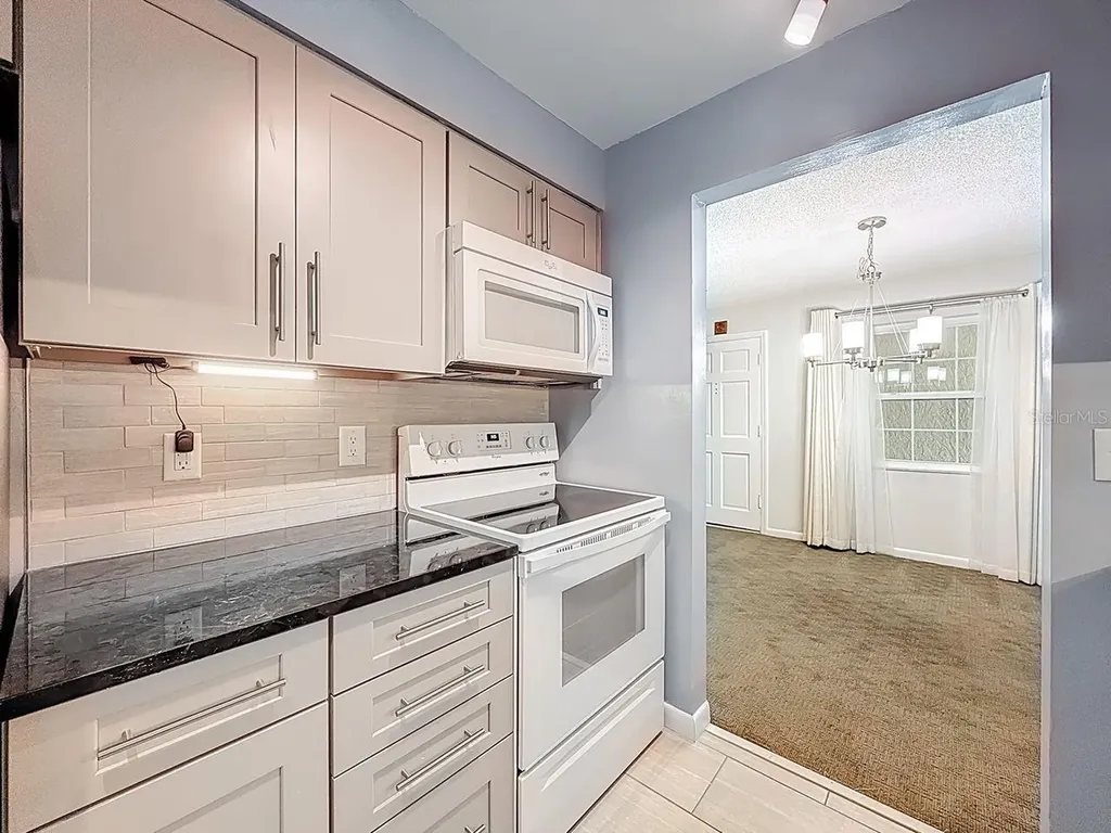 4325 Aegean Drive Tampa FL 33611
