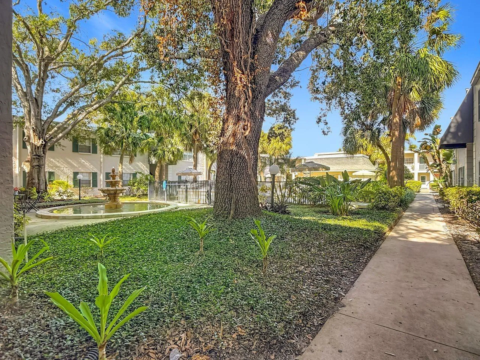 4325 Aegean Drive Tampa FL 33611