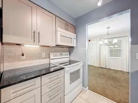 4325 Aegean Drive Tampa FL 33611